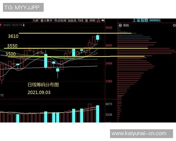 广州篮球队的节奏革新探索与未来发展路径分析